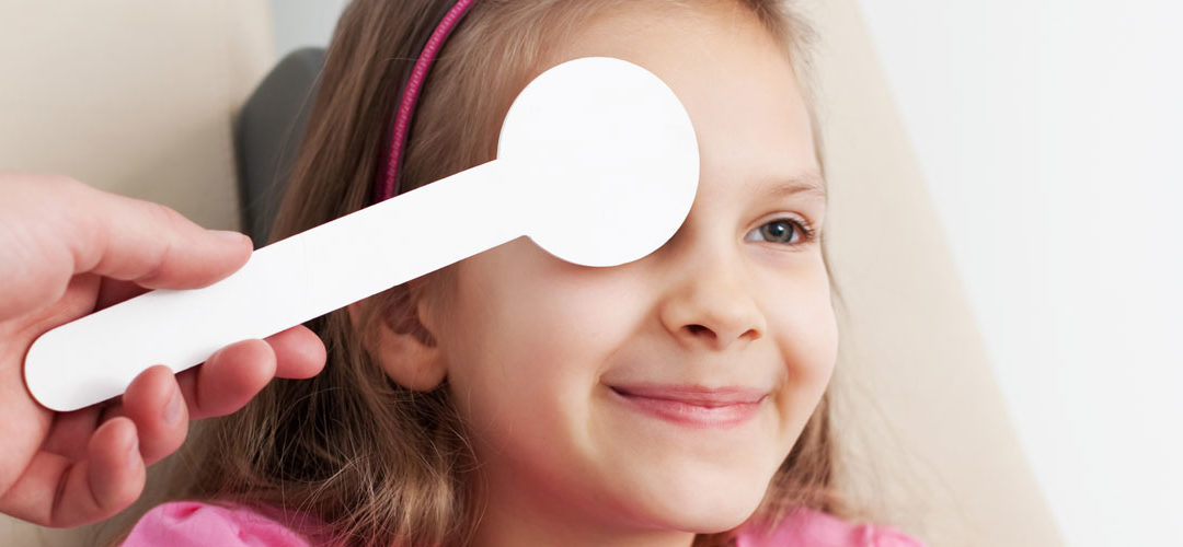 Introduction to the Eye